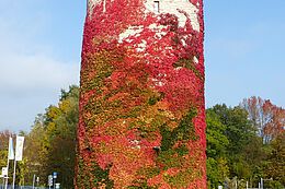Wasserturm-Herbst