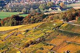 Weinberge in Alzenau-Michelbach im Herbst