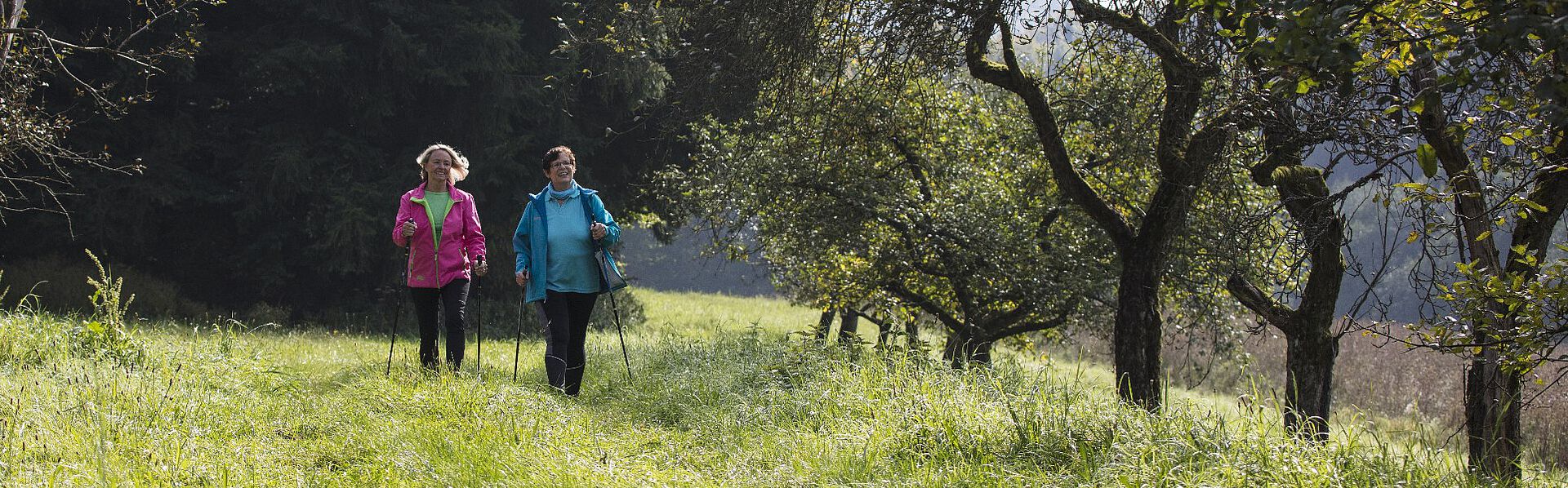 Zwei Frauen beim Nordic-Walking im Spessart