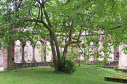Kloster Neustadt Anlage